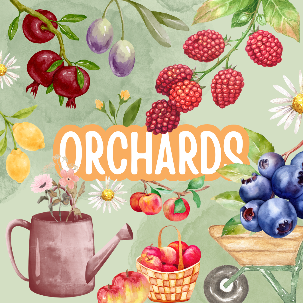 orchards | the messy box | 30 august 2026